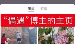 最新恋情爆料网站,神秘情侣甜蜜曝光，恋情细节引发热议